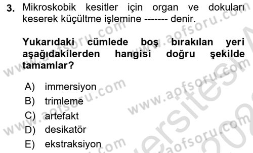Temel Veteriner Patoloji Dersi 2021 - 2022 Yılı Yaz Okulu Sınav Soruları 3. Soru
