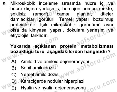 Temel Veteriner Patoloji Dersi 2021 - 2022 Yılı Yaz Okulu Sınav Soruları 9. Soru
