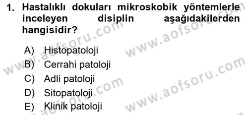 Temel Veteriner Patoloji Dersi Ara Sınavı Deneme Sınav Soruları 1. Soru