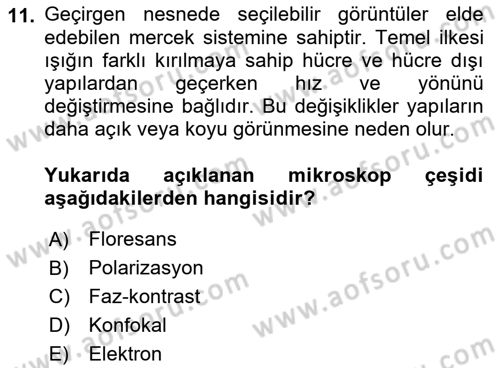 Temel Veteriner Patoloji Dersi 2022 - 2023 Yılı (Vize) Ara Sınav Soruları 11. Soru