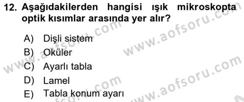 Temel Veteriner Patoloji Dersi Ara Sınavı Deneme Sınav Soruları 12. Soru