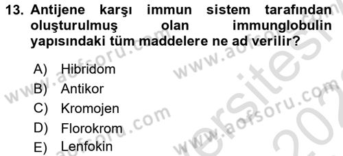 Temel Veteriner Patoloji Dersi 2022 - 2023 Yılı (Vize) Ara Sınav Soruları 13. Soru