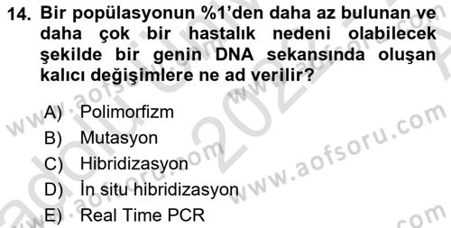 Temel Veteriner Patoloji Dersi 2022 - 2023 Yılı (Vize) Ara Sınav Soruları 14. Soru