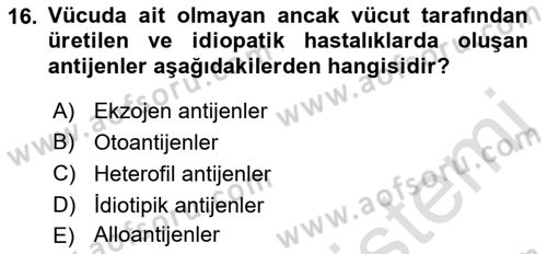 Temel Veteriner Patoloji Dersi 2022 - 2023 Yılı (Vize) Ara Sınav Soruları 16. Soru