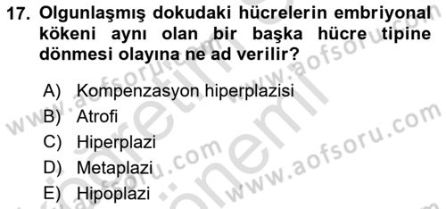 Temel Veteriner Patoloji Dersi 2022 - 2023 Yılı (Vize) Ara Sınav Soruları 17. Soru