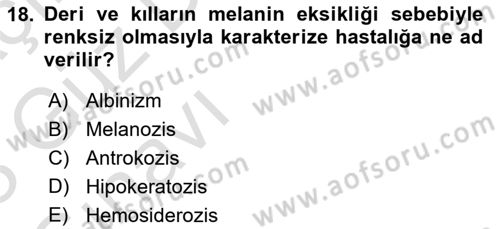 Temel Veteriner Patoloji Dersi Ara Sınavı Deneme Sınav Soruları 18. Soru