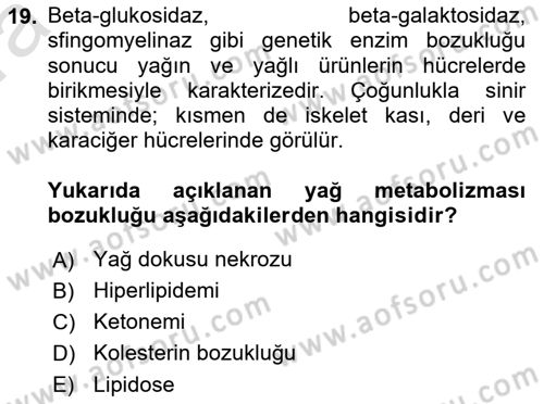 Temel Veteriner Patoloji Dersi Ara Sınavı Deneme Sınav Soruları 19. Soru
