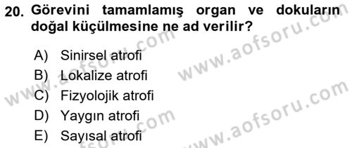 Temel Veteriner Patoloji Dersi 2022 - 2023 Yılı (Vize) Ara Sınav Soruları 20. Soru