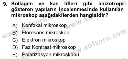 Temel Veteriner Patoloji Dersi 2022 - 2023 Yılı (Vize) Ara Sınav Soruları 9. Soru