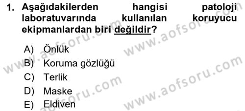 Temel Veteriner Patoloji Dersi 2022 - 2023 Yılı (Final) Dönem Sonu Sınav Soruları 1. Soru