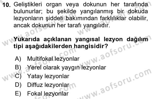 Temel Veteriner Patoloji Dersi 2022 - 2023 Yılı (Final) Dönem Sonu Sınav Soruları 10. Soru