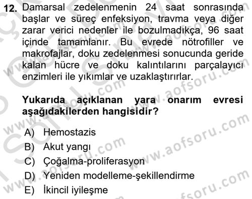 Temel Veteriner Patoloji Dersi 2022 - 2023 Yılı (Final) Dönem Sonu Sınav Soruları 12. Soru