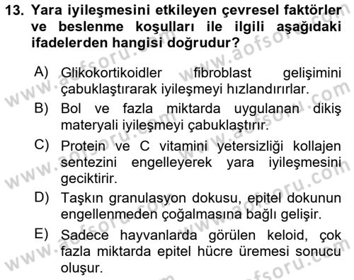 Temel Veteriner Patoloji Dersi 2022 - 2023 Yılı (Final) Dönem Sonu Sınav Soruları 13. Soru