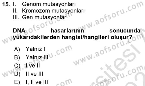 Temel Veteriner Patoloji Dersi 2022 - 2023 Yılı (Final) Dönem Sonu Sınav Soruları 15. Soru