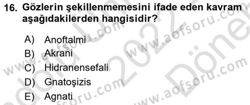 Temel Veteriner Patoloji Dersi 2022 - 2023 Yılı (Final) Dönem Sonu Sınav Soruları 16. Soru