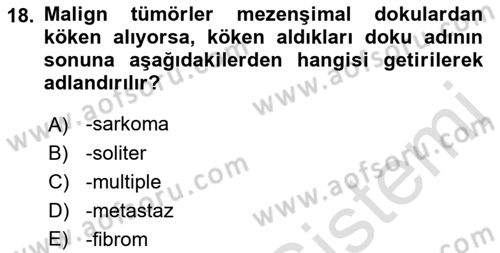 Temel Veteriner Patoloji Dersi 2022 - 2023 Yılı (Final) Dönem Sonu Sınav Soruları 18. Soru