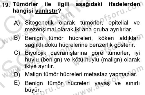 Temel Veteriner Patoloji Dersi 2022 - 2023 Yılı (Final) Dönem Sonu Sınav Soruları 19. Soru