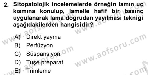 Temel Veteriner Patoloji Dersi 2022 - 2023 Yılı (Final) Dönem Sonu Sınav Soruları 2. Soru