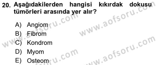 Temel Veteriner Patoloji Dersi 2022 - 2023 Yılı (Final) Dönem Sonu Sınav Soruları 20. Soru
