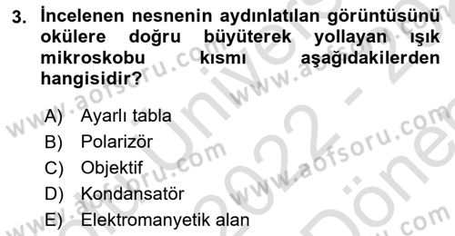Temel Veteriner Patoloji Dersi 2022 - 2023 Yılı (Final) Dönem Sonu Sınav Soruları 3. Soru