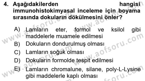 Temel Veteriner Patoloji Dersi 2022 - 2023 Yılı (Final) Dönem Sonu Sınav Soruları 4. Soru