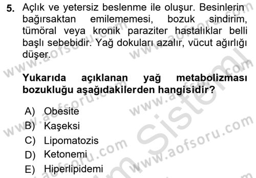 Temel Veteriner Patoloji Dersi 2022 - 2023 Yılı (Final) Dönem Sonu Sınav Soruları 5. Soru