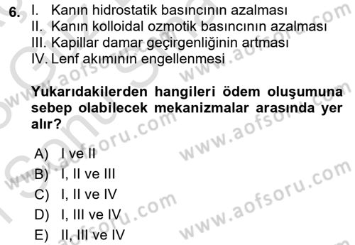 Temel Veteriner Patoloji Dersi 2022 - 2023 Yılı (Final) Dönem Sonu Sınav Soruları 6. Soru