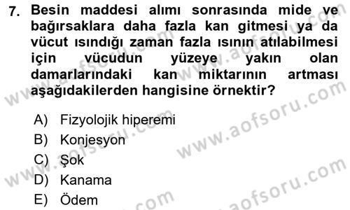 Temel Veteriner Patoloji Dersi 2022 - 2023 Yılı (Final) Dönem Sonu Sınav Soruları 7. Soru
