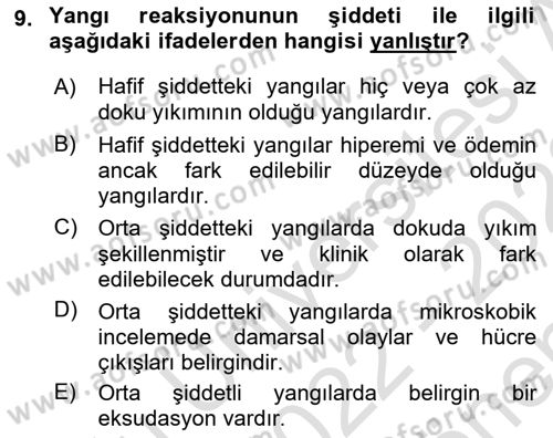 Temel Veteriner Patoloji Dersi 2022 - 2023 Yılı (Final) Dönem Sonu Sınav Soruları 9. Soru