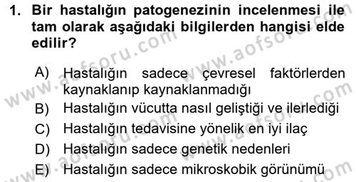 Temel Veteriner Patoloji Dersi 2024 - 2025 Yılı (Vize) Ara Sınav Soruları 1. Soru