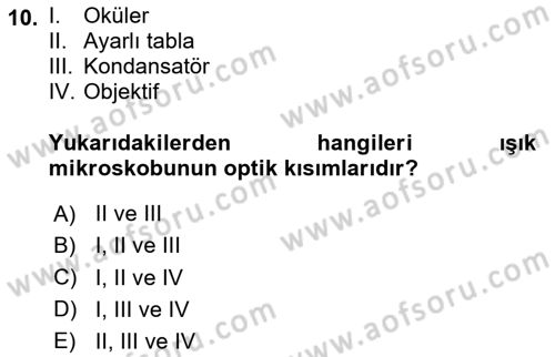 Temel Veteriner Patoloji Dersi Ara Sınavı Deneme Sınav Soruları 10. Soru