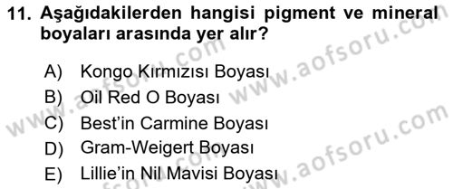Temel Veteriner Patoloji Dersi 2024 - 2025 Yılı (Vize) Ara Sınav Soruları 11. Soru