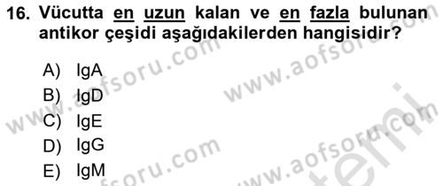 Temel Veteriner Patoloji Dersi Ara Sınavı Deneme Sınav Soruları 16. Soru