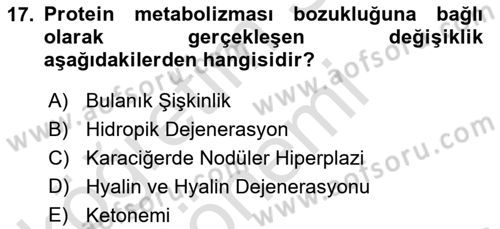 Temel Veteriner Patoloji Dersi 2024 - 2025 Yılı (Vize) Ara Sınav Soruları 17. Soru