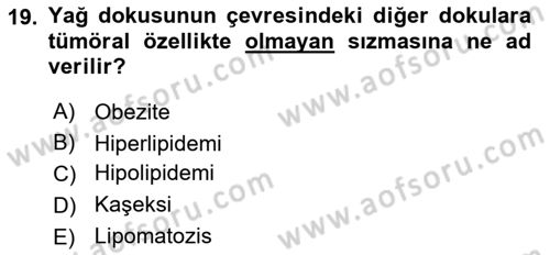 Temel Veteriner Patoloji Dersi Ara Sınavı Deneme Sınav Soruları 19. Soru