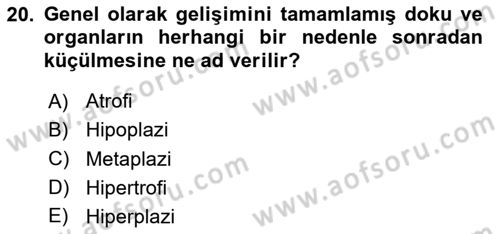 Temel Veteriner Patoloji Dersi Ara Sınavı Deneme Sınav Soruları 20. Soru