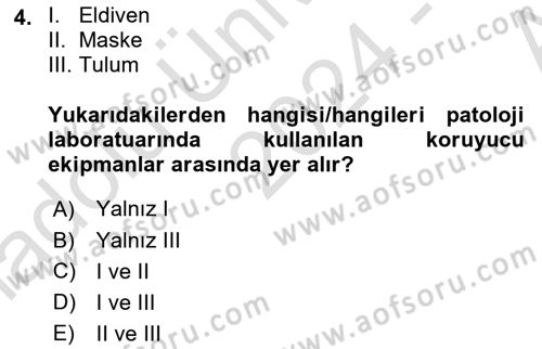 Temel Veteriner Patoloji Dersi Ara Sınavı Deneme Sınav Soruları 4. Soru