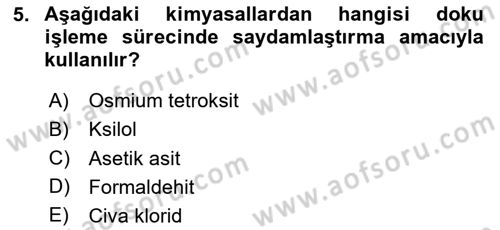 Temel Veteriner Patoloji Dersi Ara Sınavı Deneme Sınav Soruları 5. Soru