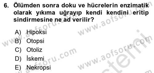 Temel Veteriner Patoloji Dersi Ara Sınavı Deneme Sınav Soruları 6. Soru