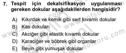 Temel Veteriner Patoloji Dersi Ara Sınavı Deneme Sınav Soruları 7. Soru