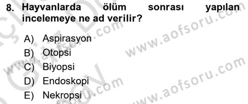 Temel Veteriner Patoloji Dersi Ara Sınavı Deneme Sınav Soruları 8. Soru
