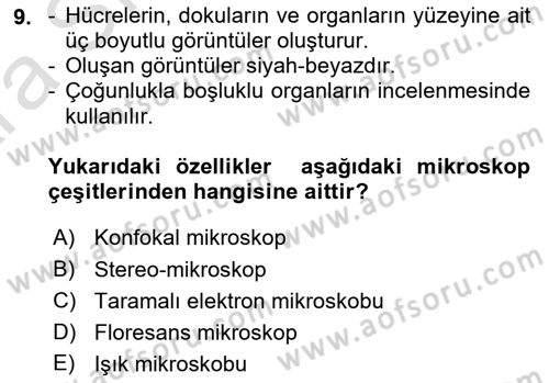 Temel Veteriner Patoloji Dersi Ara Sınavı Deneme Sınav Soruları 9. Soru
