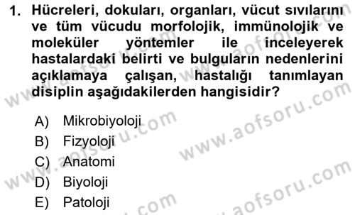 Temel Veteriner Patoloji Dersi 2024 - 2025 Yılı (Final) Dönem Sonu Sınav Soruları 1. Soru