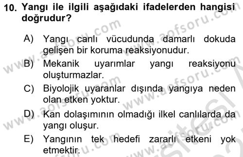 Temel Veteriner Patoloji Dersi 2024 - 2025 Yılı (Final) Dönem Sonu Sınav Soruları 10. Soru