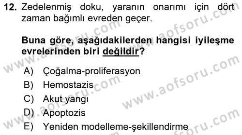 Temel Veteriner Patoloji Dersi 2024 - 2025 Yılı (Final) Dönem Sonu Sınav Soruları 12. Soru