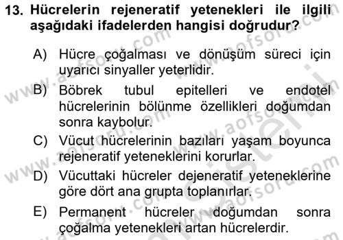 Temel Veteriner Patoloji Dersi 2024 - 2025 Yılı (Final) Dönem Sonu Sınav Soruları 13. Soru