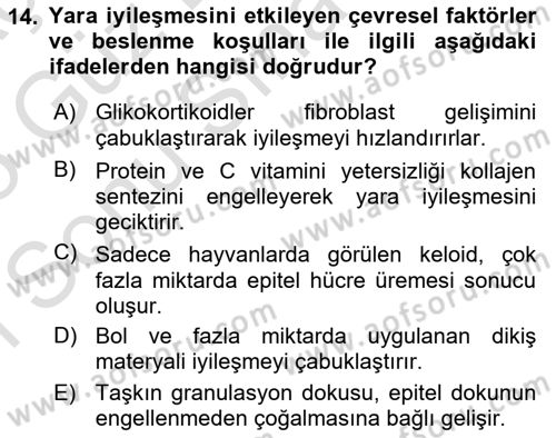 Temel Veteriner Patoloji Dersi 2024 - 2025 Yılı (Final) Dönem Sonu Sınav Soruları 14. Soru