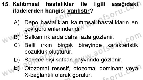 Temel Veteriner Patoloji Dersi 2024 - 2025 Yılı (Final) Dönem Sonu Sınav Soruları 15. Soru