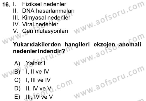 Temel Veteriner Patoloji Dersi 2024 - 2025 Yılı (Final) Dönem Sonu Sınav Soruları 16. Soru