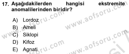 Temel Veteriner Patoloji Dersi 2024 - 2025 Yılı (Final) Dönem Sonu Sınav Soruları 17. Soru